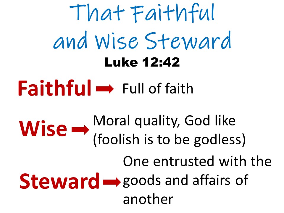 That Faithful And Wise Steward