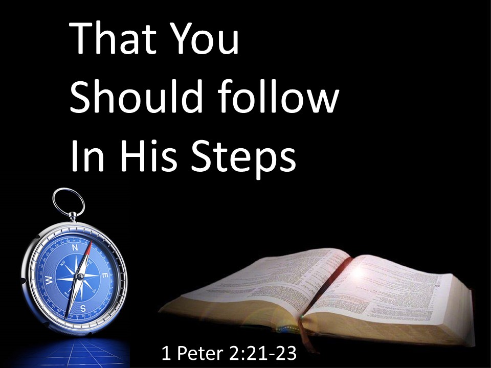 That You Should Follow His Steps