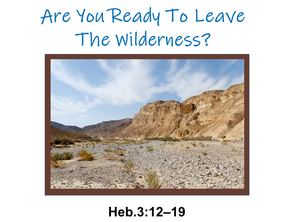 Are You Ready To Leave The Wilderness?