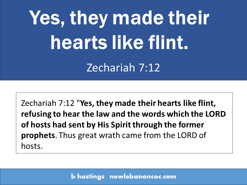 They Made Their Hearts Like Flint