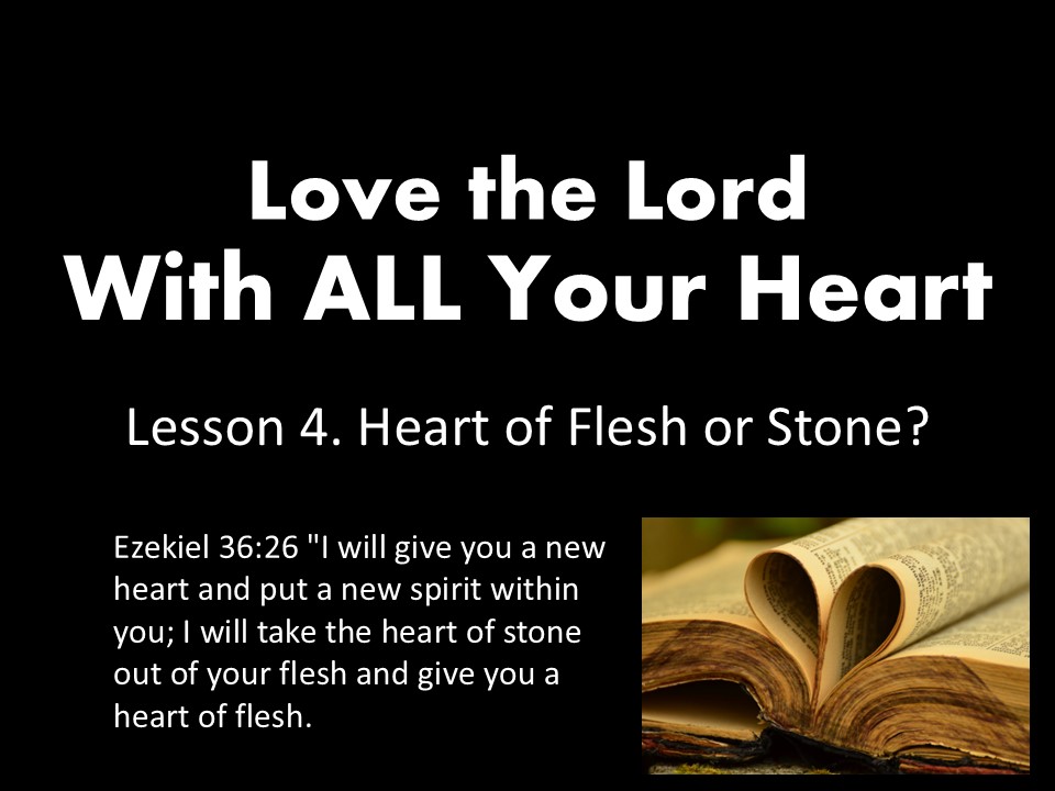 With All Your Heart. Lesson Four. Flesh Or Stone?