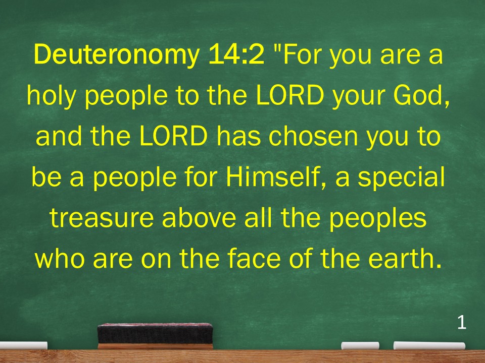 Holy – You Are A Holy People To The Lord