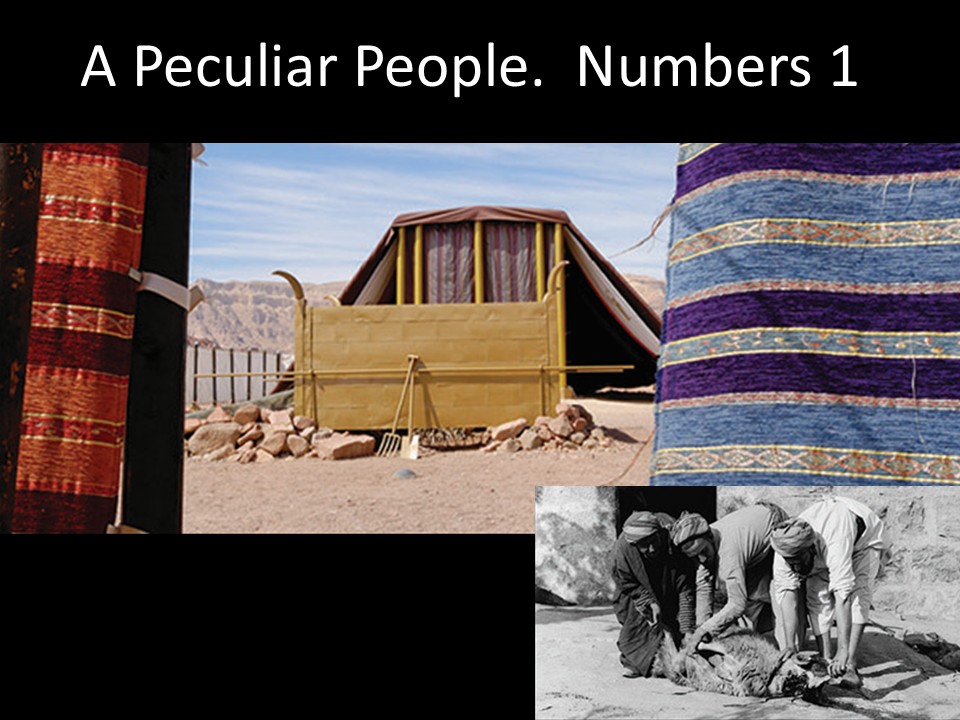 A Peculiar People