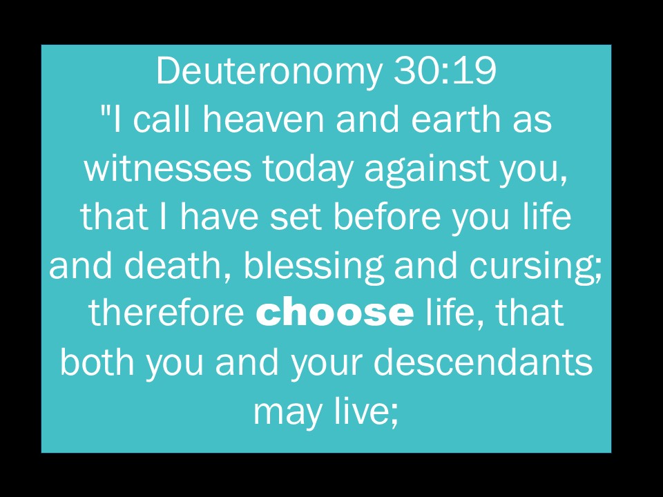 Bible Decision Making