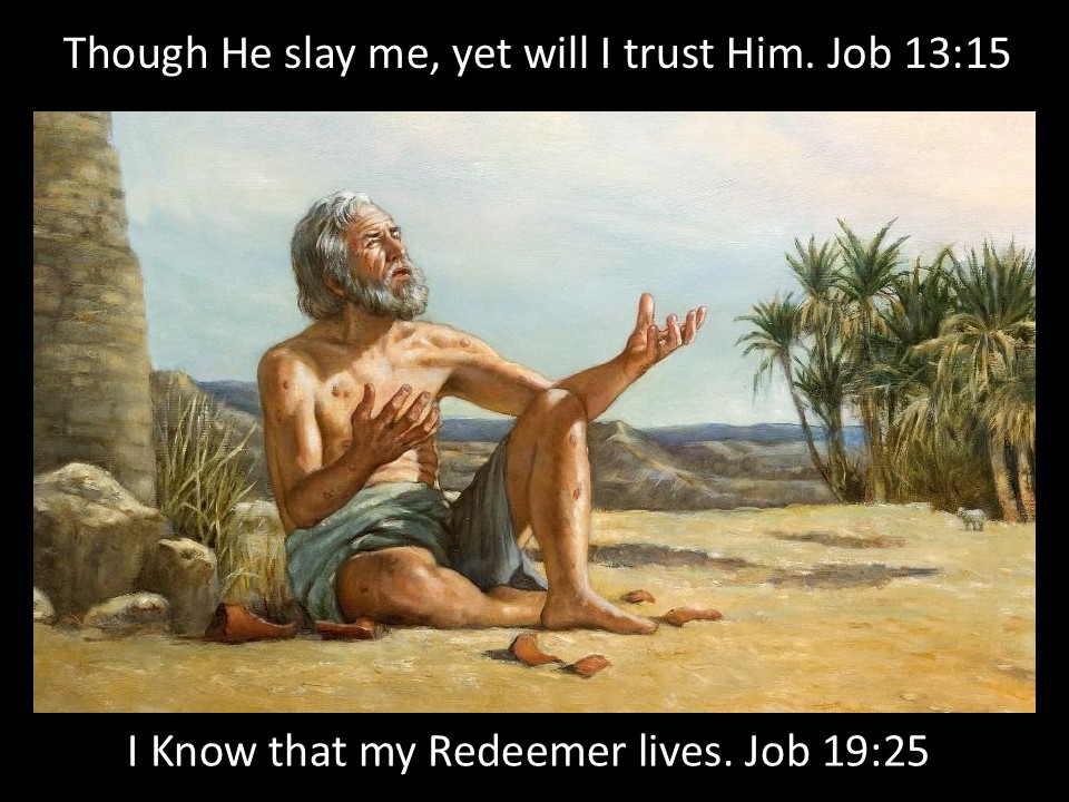 Though he slay me, yet will I trust Him.