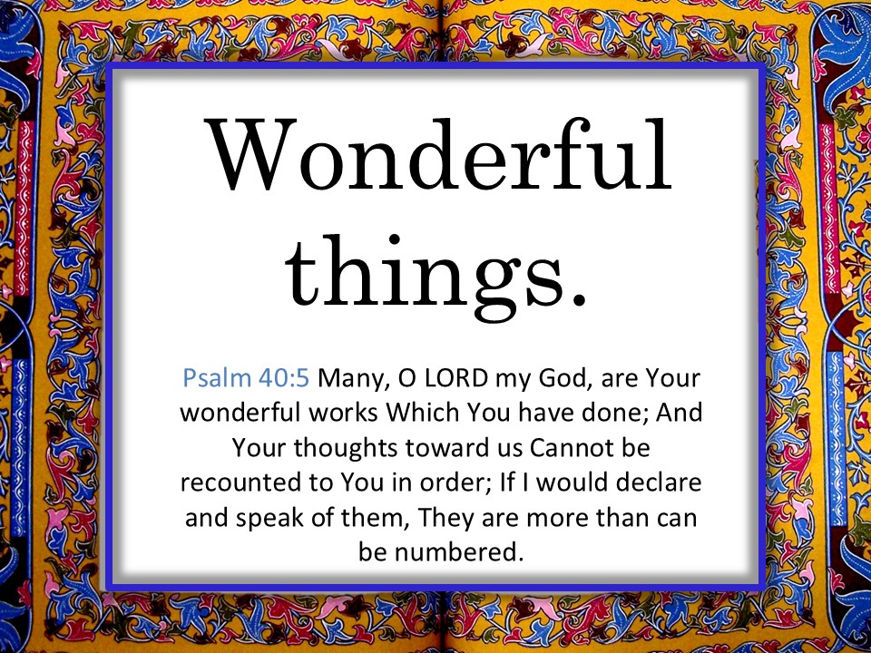 A Few Wonderful Things