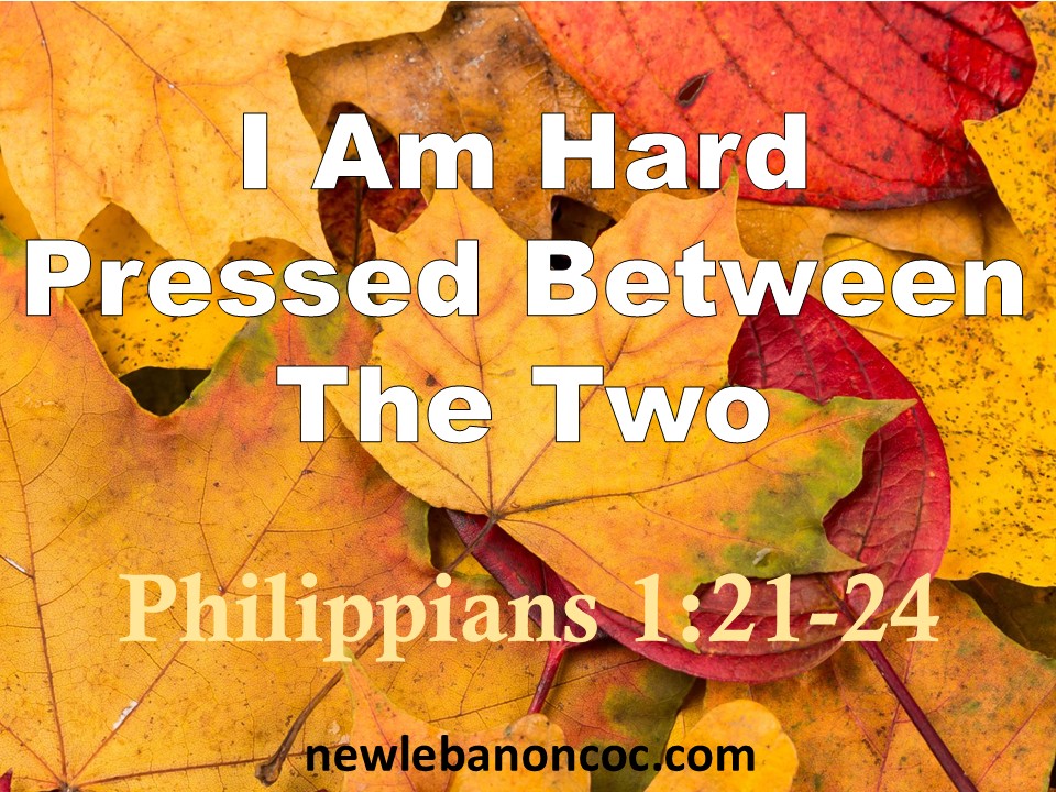 I Am Hard Pressed Between The Two