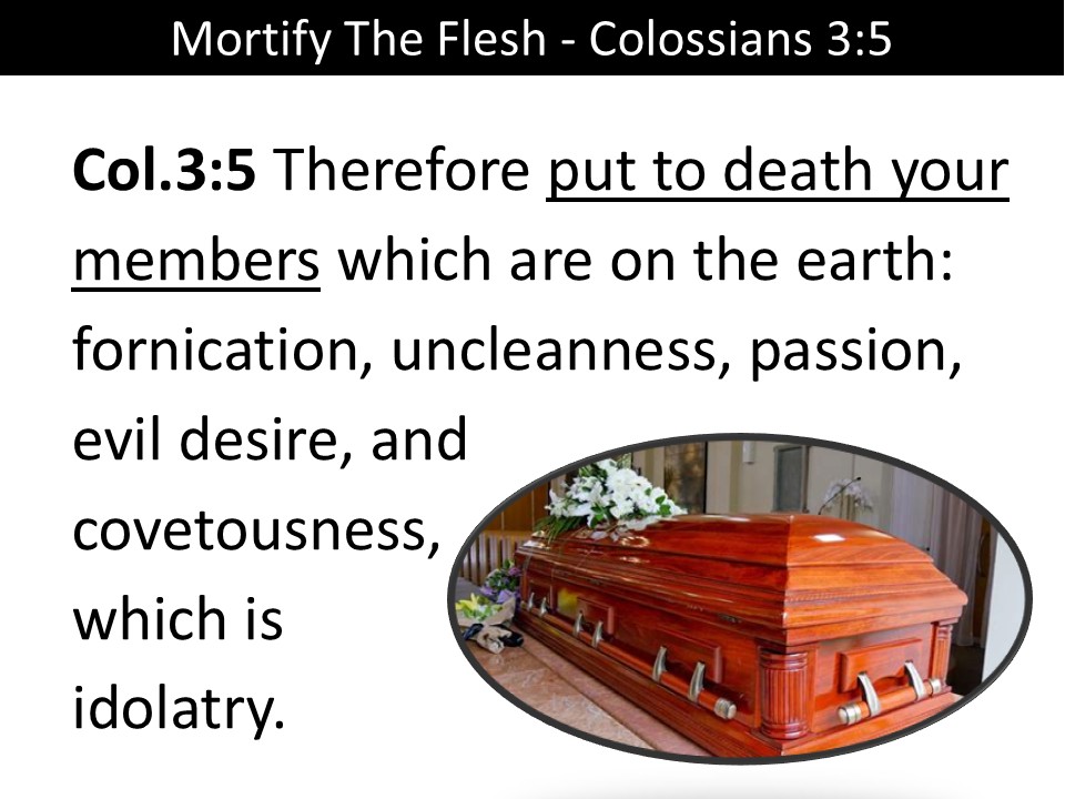 Mortify The Flesh