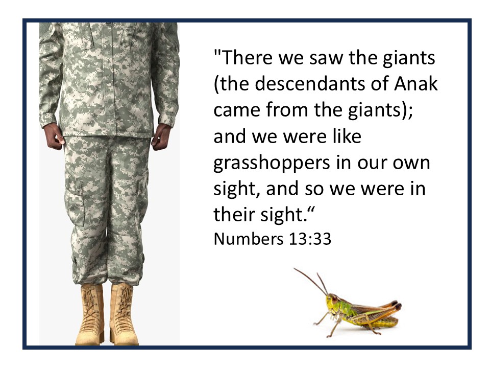 Grasshoppers In Our Own Sight