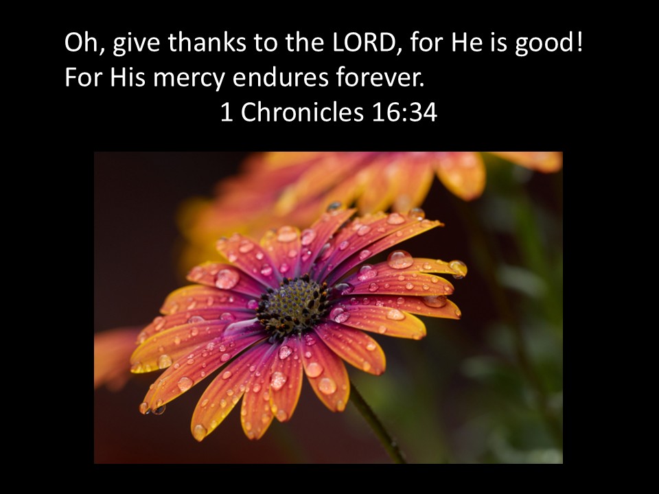 A Song Of Thanksgiving