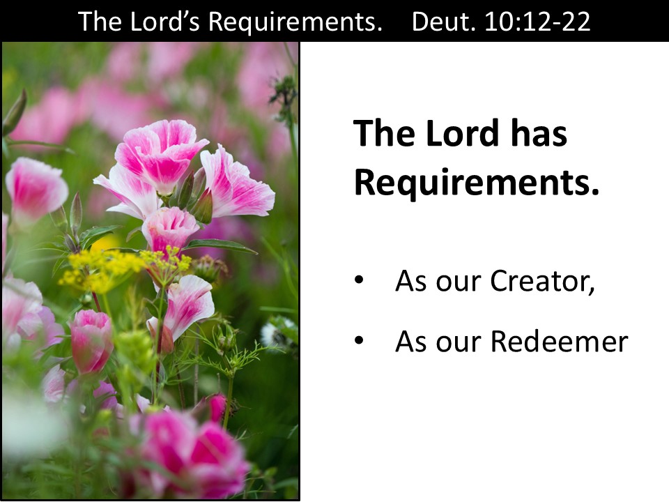 The Lord’s Requirements