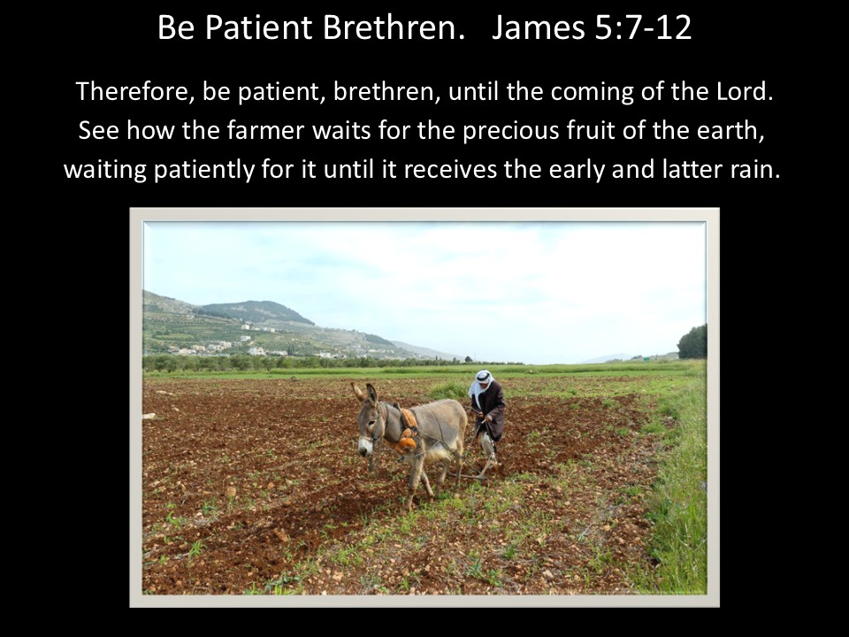James Lesson Ten – Be Patient Brethren